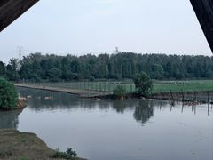 -溱湖国家湿地公园