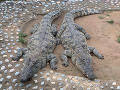 -辛玛王国游乐园