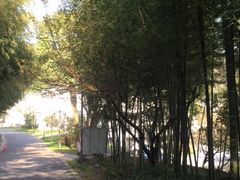 -苏州环秀晓筑养生度假村