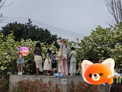 -大龙山(地铁站)