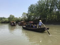 -溱湖国家湿地公园