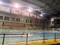 -陕西省体育训练中心-游泳馆