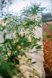 -艾米婚纱&婚礼策划