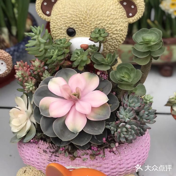 逛花市过年咯！