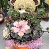 逛花市过年咯！
