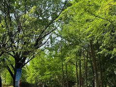 -城市运动公园(未央区)