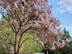 -朝阳公园游乐园