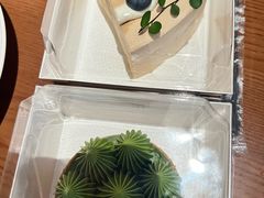 -猫里有甜