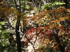-丹东市五龙山风景区