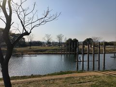 -良渚古城遗址公园