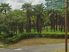 -东平国家森林公园