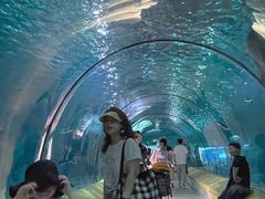 -福州罗源湾海洋世界旅游区