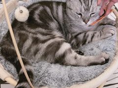 -白夜2D咖啡馆