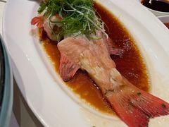 东星斑-文兴酒家(晶品店)