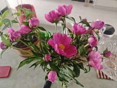 -二仙居商业街