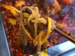 -小牛叔鲜切牛肉·火锅·烤肉自助(公济桥路店)