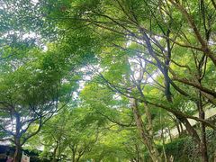 -三千院