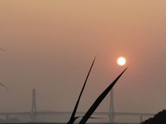 -西堤公园