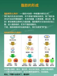 -Fundi张玉珊修身堂·indiba·BTL科技瘦身