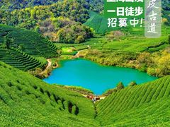 -龙坞茶村