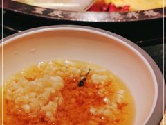 -井格重庆火锅(西直门凯德Mall店)