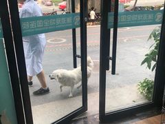 -瑞派·关忠动物医院·异宠专科·犬猫肿瘤·皮肤专科(望京店)