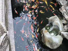 -西林禅寺