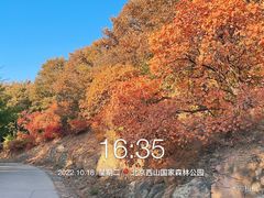 -北京西山国家森林公园