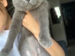 -萌兽医馆·宠物医院·猫骨科(创景店)