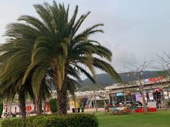 -亚龙湾中心广场