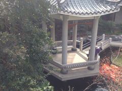 -桃园盛宴·岭南粤菜·手工茶点(南庄店)