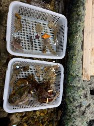 -钓虾工场·钓虾·赶海(回龙观店)