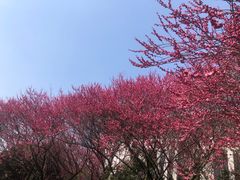 -杭州城北体育公园