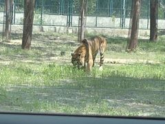 -秦皇岛野生动物园