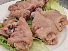 -丁老爷子苏香圆