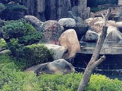-七彩云南古滇温泉山庄