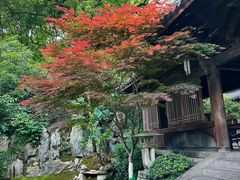 -灵隐飞来峰景区