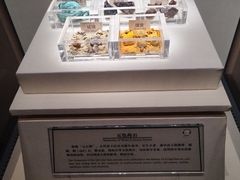 -南越王博物院