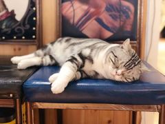 -肉串汪(望京店)