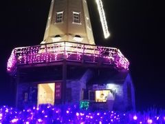 景点-大塘金香草谷