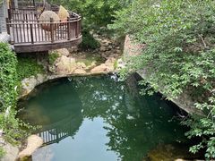 -老张烤羊(王哥庄店)