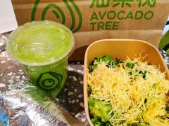 -油梨树AVOCADO TREE(嘉里中心店)
