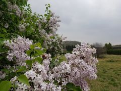 -汉景帝阳陵博物院