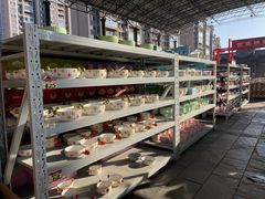 -中国陶瓷谷
