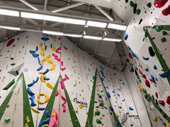 -绿壁虎攀岩基地(Tcar店)