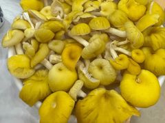 -朴小妹人参鸡汤火锅(长白山万达店)