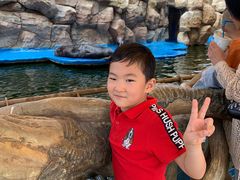 -华夏文旅海洋公园