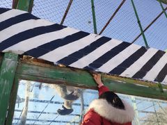 -新疆天山野生动物园