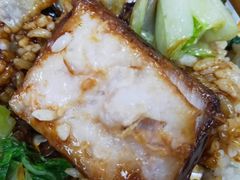 -复旦大学本部-食堂