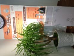 -子午孕教·孕妇瑜伽产后恢复(市北店)